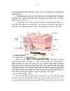 Đánh giá hiệu quả điều trị sẹo lõm do trứng cá bằng acid trichloracetic 100 phối hợp sản phẩm tế bào gốc Juvian 1