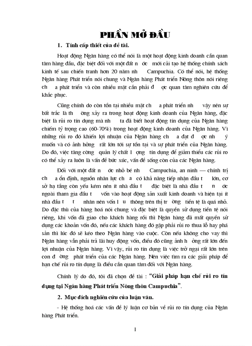Giải pháp hạn chế rủi ro tín dụng tại Ngân hàng Phát triển Nông thôn Campuchia 1