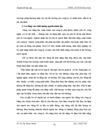 Nâng cao năng lực cạnh tranh của công ty TNHH Hàn Việt Hanvico trong thời kỳ hội nhập WTO