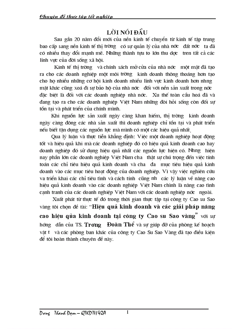 Hiệu quả kinh doanh và các giải pháp nâng cao hiệu qủa kinh doanh tại công ty Cao su Sao vàng 1