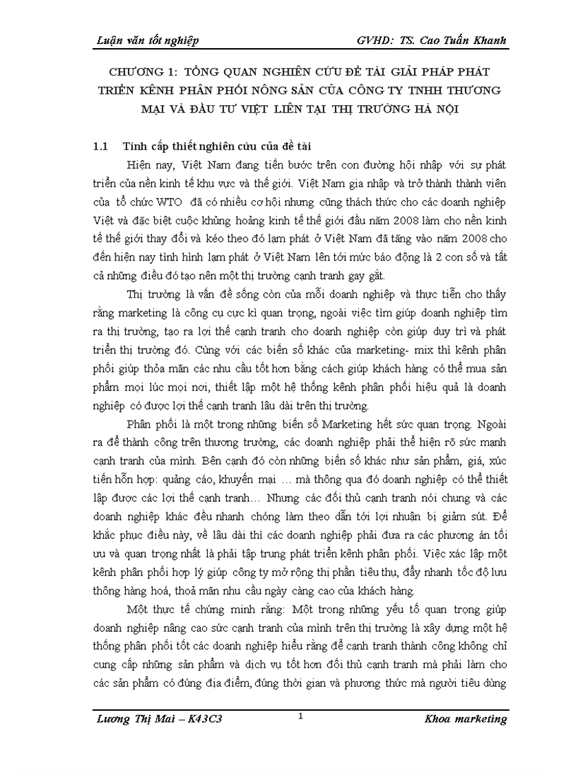 Giải pháp phát triển kênh phân phối nông sản của công ty TNHH thương mại và đầu tư Việt Liên tại thị trường Hà Nội 1