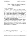 Giải pháp đảm bảo chất lượng phòng trừ mối côn trùng tại công ty TNHH phòng trừ mối và côn trùng gây hại An Sinh 1