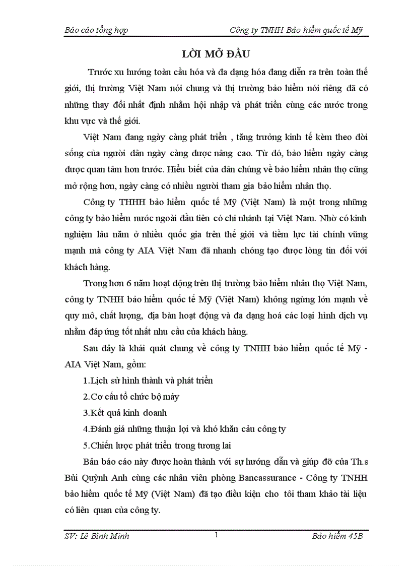 Báo cáo thực tập tại Công ty TNHH Bảo hiểm quốc tế Mỹ tại Việt Nam