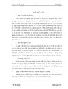 Thực trạng quy trình đánh giá hệ thống kiểm soát nội bộ do Công ty TNHH Dịch vụ Tư vấn Tài chính Kế toán và Kiểm toán thực hiện