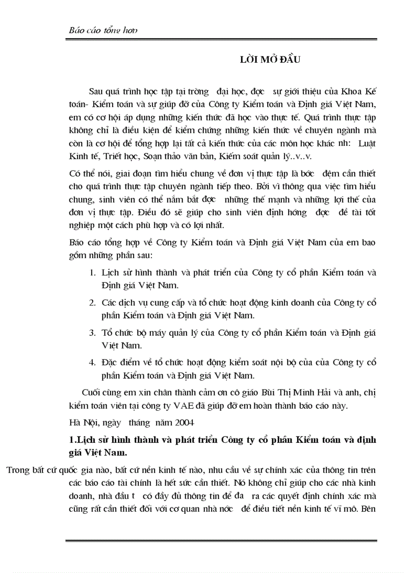 Báo cáo tổng hợp về Công ty Kiểm toán và Định giá Việt Nam 1