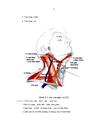 Nghiên cứu hình thái lâm sàng và chẩn đoán hình ảnh của áp xe vùng cổ