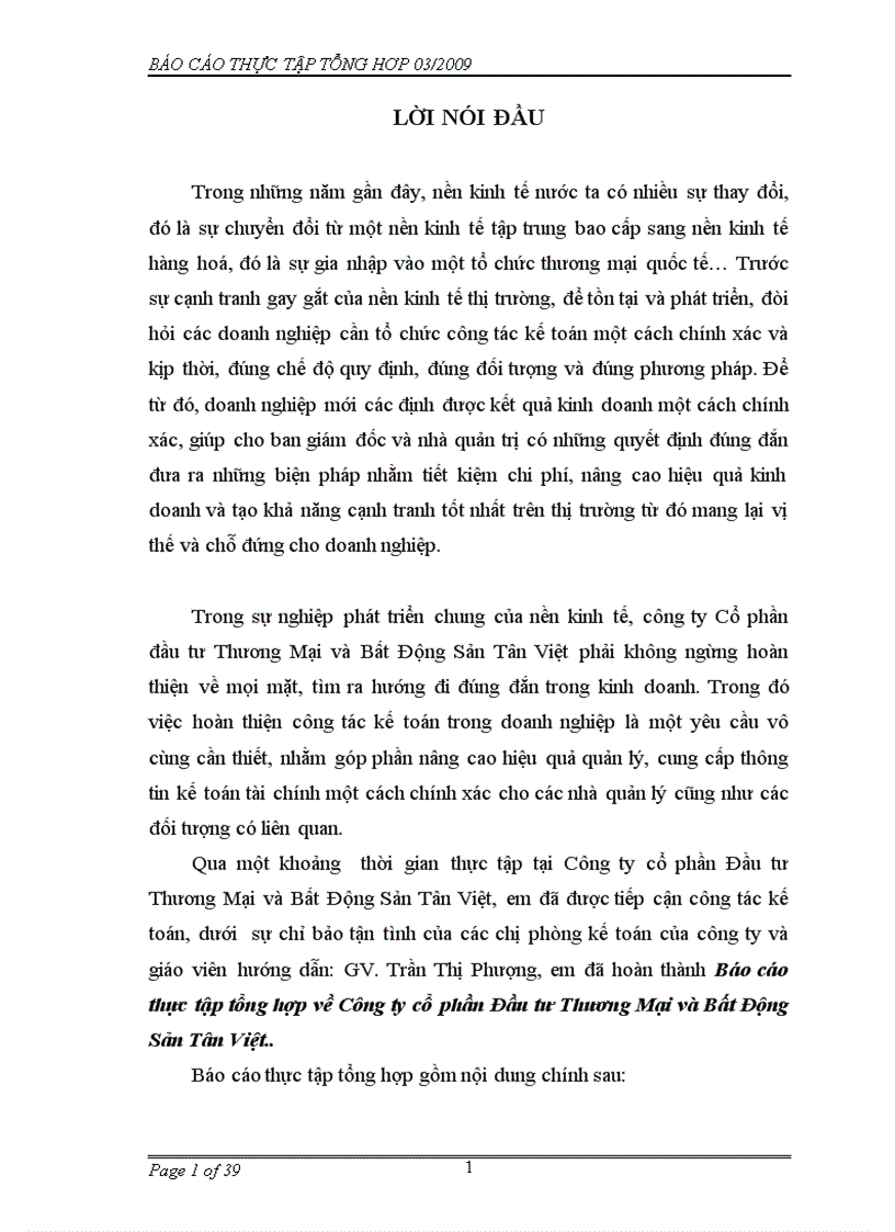 Báo cáo thực tập tổng hợp về Công ty cổ phần Đầu tư Thương Mại và Bất Động Sản Tân Việt