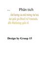 Phân tích ảnh hưởng của môi trường văn hóa hai quốc gia Brasil và Venezuela Đến Marketing quốc tế