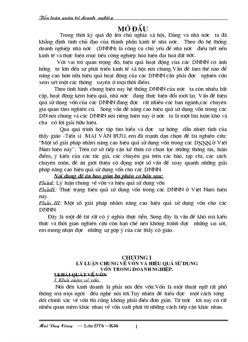 Một số giải pháp nhằm nâng cao hiệu quả sử dụng vốn trong các Dnnn ở Việt Nam hiện nay