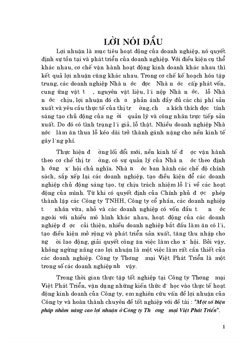 Một số biện pháp nhằm nâng cao lợi nhuận ở Công ty Thương mại Việt Phát Triển