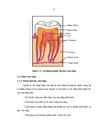 Nhận xét lâm sàng X quang nhóm bệnh nhân viêm tuỷ có hồi phục được chụp tuỷ gián tiếp bằng Dycal và ZOE 1