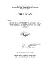 Bước đầu tìm hiểu văn hóa của người Hoa ở Thành phố Hồ Chí Minh