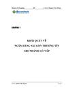 NGÂN HàNG THƯƠNG MạI Cổ PHầN SàI GòN THƯƠNG TíN SACOMBANK