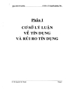 Một số biện pháp nhằm hạn chế rủi ro trong cho vay vốn tại quỹ tín dụng nhân dân Tân Mỹ Tiền Giang