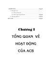 Giải pháp phát triển dịch vụ cho vay tiêu dùng với khách hàng dân cư ở ACB