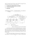 Thực trạng hoạt động xuất khẩu giày dép của công ty Liên doanh Tỷ Hùng từ năm 2008 đến nay