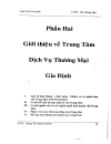 Định hướng chiến lược kinh doanh tại trung tâm DVTM Gia Định