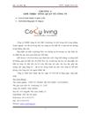 Phân tích chiến lược kinh doanh của công ty Cozyliving đến năm 201