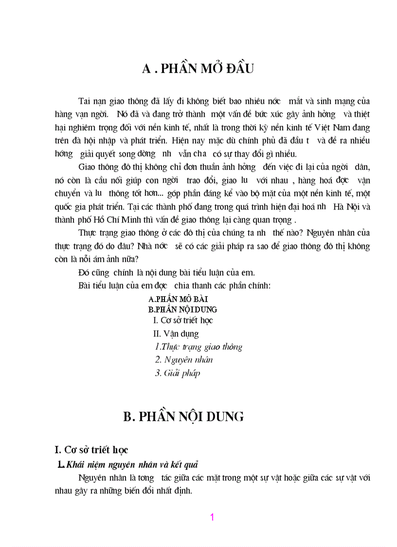 Thực trạng giao thông ở các đô thị 1