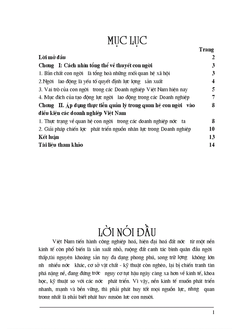 Áp dụng thực tiễn quản lý trong quan hệ con người vào điều kiện các doanh nghiệp Việt Nam 1