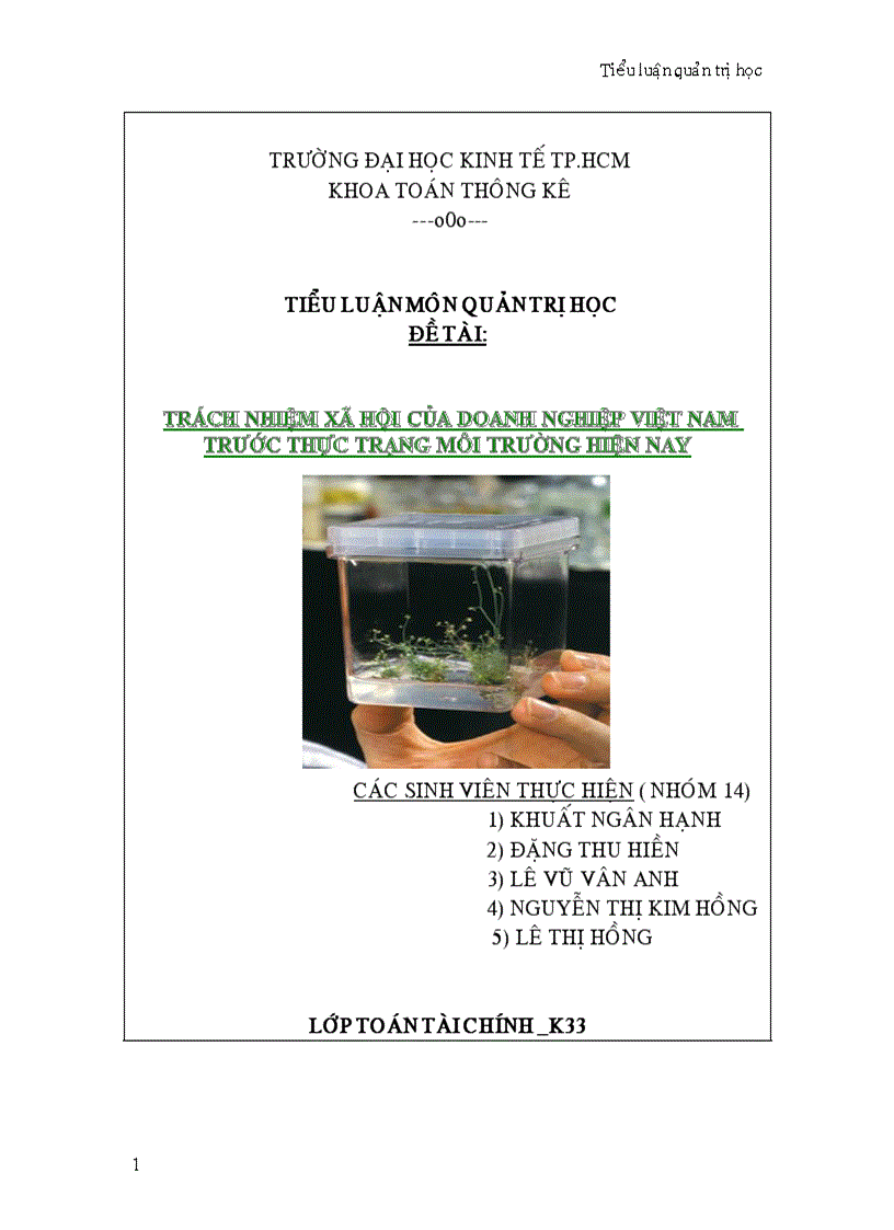 Trách nhiệm xã hội của doanh nghiệp Việt Nam trước thực trạng môi trường hiện nay