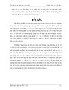 FII ở Việt Nam hiện nay