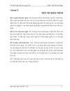 FII ở Việt Nam hiện nay