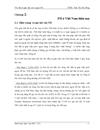FII ở Việt Nam hiện nay