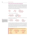 Organic Chemistry Clayden