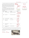 Organic Chemistry Clayden