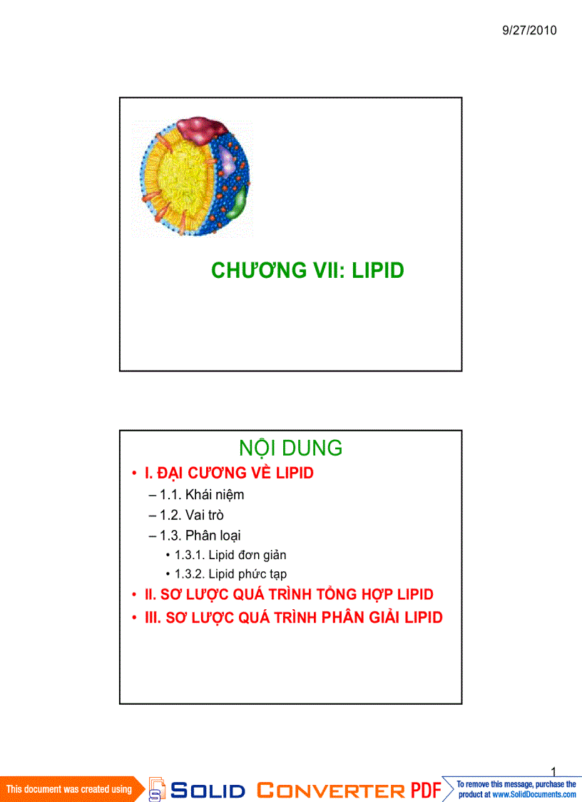 Lipid