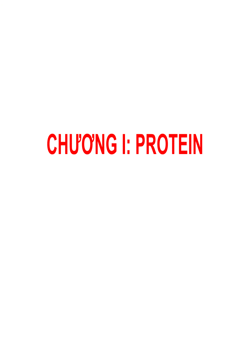 Protein