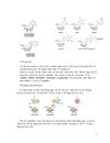 Acid Nucleic