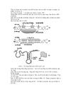 Sinh tổng hợp protein