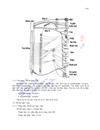 Giáo trình sinh lý học chương 10