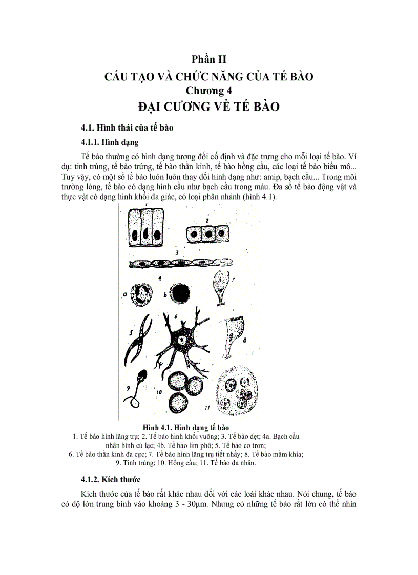 Tế bào học 3