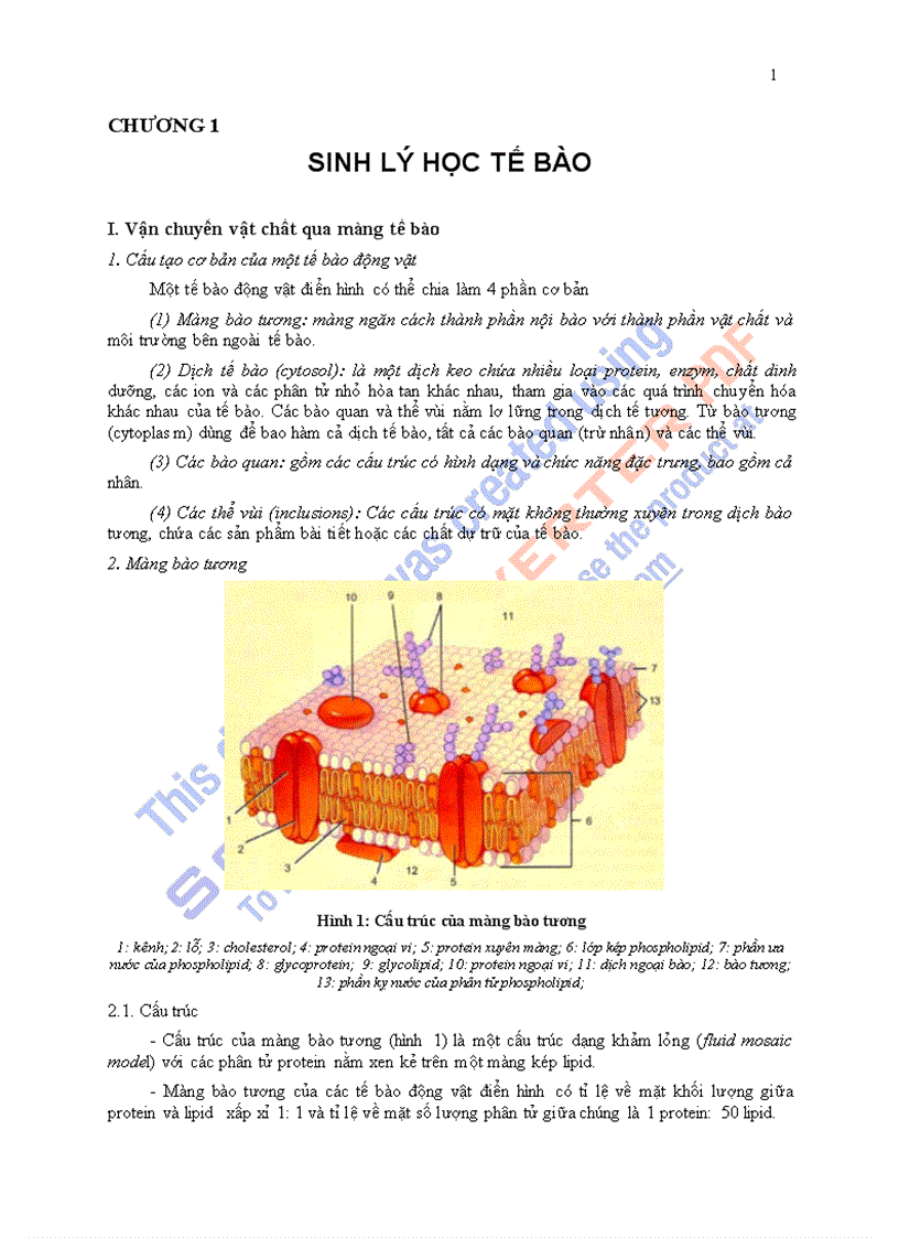 Giáo trình sinh lý học chương 1