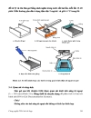 Adn tái tổ hợp