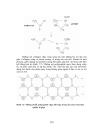 Trao doi protein