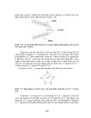 Trao doi protein