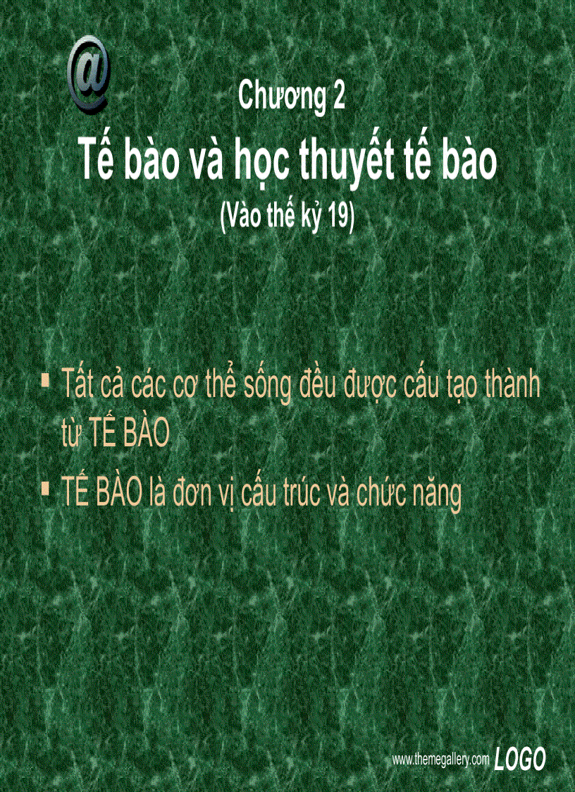 Tế bào