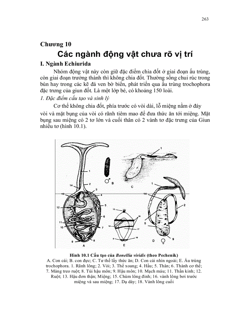 Cac nganh dong vat chua ro vi tri