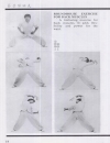 VO THUAT CAN BANChoy Lay Fut Kung Fu The Dynamic Art of Fighting pdf