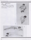 VO THUAT CAN BANChoy Lay Fut Kung Fu The Dynamic Art of Fighting pdf