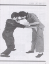 VO THUAT CAN BANChoy Lay Fut Kung Fu The Dynamic Art of Fighting pdf