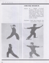 VO THUAT CAN BANChoy Lay Fut Kung Fu The Dynamic Art of Fighting pdf