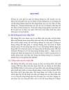 Cong nghe CDMA 356 pdf