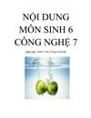 Kế hoặc môn CN 7