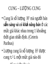 Lí thuyết cung cầu