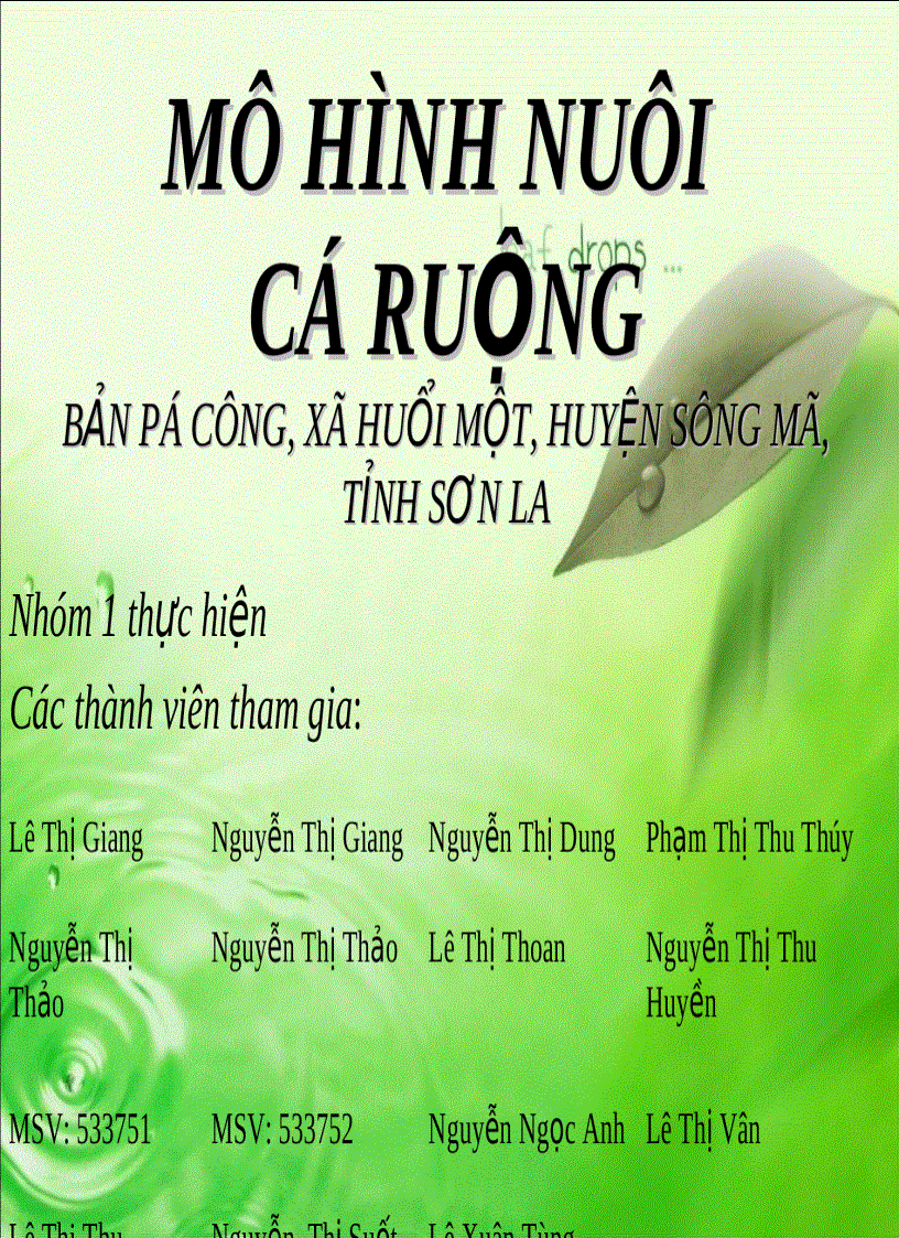 Mô hình nuôi cá ruộng